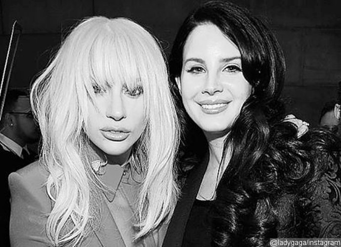 Le feste vip della settimana: torna la celebrity Fight Night