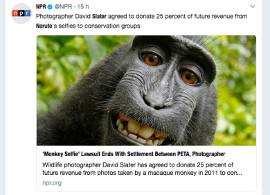 C’era una volta un selfie, un macaco e la sua potente lobby