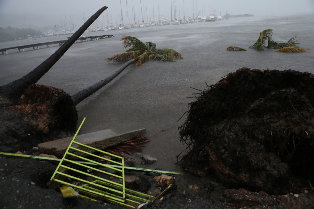 Irma perde forza, ma si lascia alle spalle morti e 50 miliardi di danni Irma perde forza, ma si lascia alle spalle morti e 50 miliardi di danni