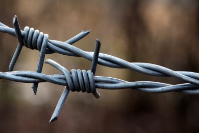 Apologia del fascismo, dalla legge Scelba al ddl Fiano