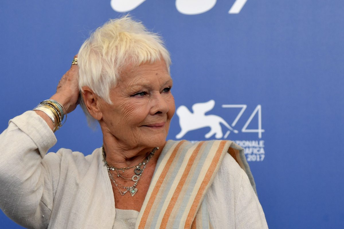 Galleria foto 'Mostra del cinema di Venezia 2017: le foto più belle' - foto 4