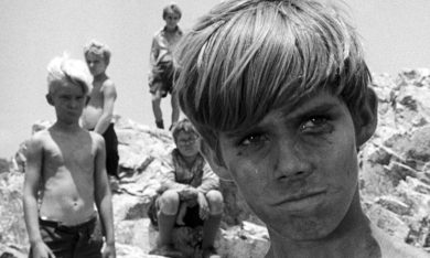 Torna il ‘Signore delle mosche’, ma declinato al femminile