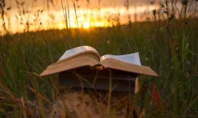 5 libri ambientati a Trieste e Udine