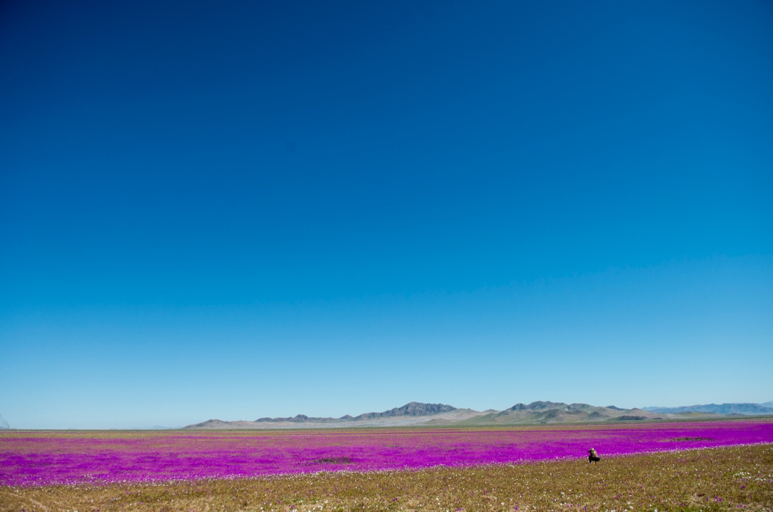 Le foto più belle della settimana – 28 agosto/1 settembre