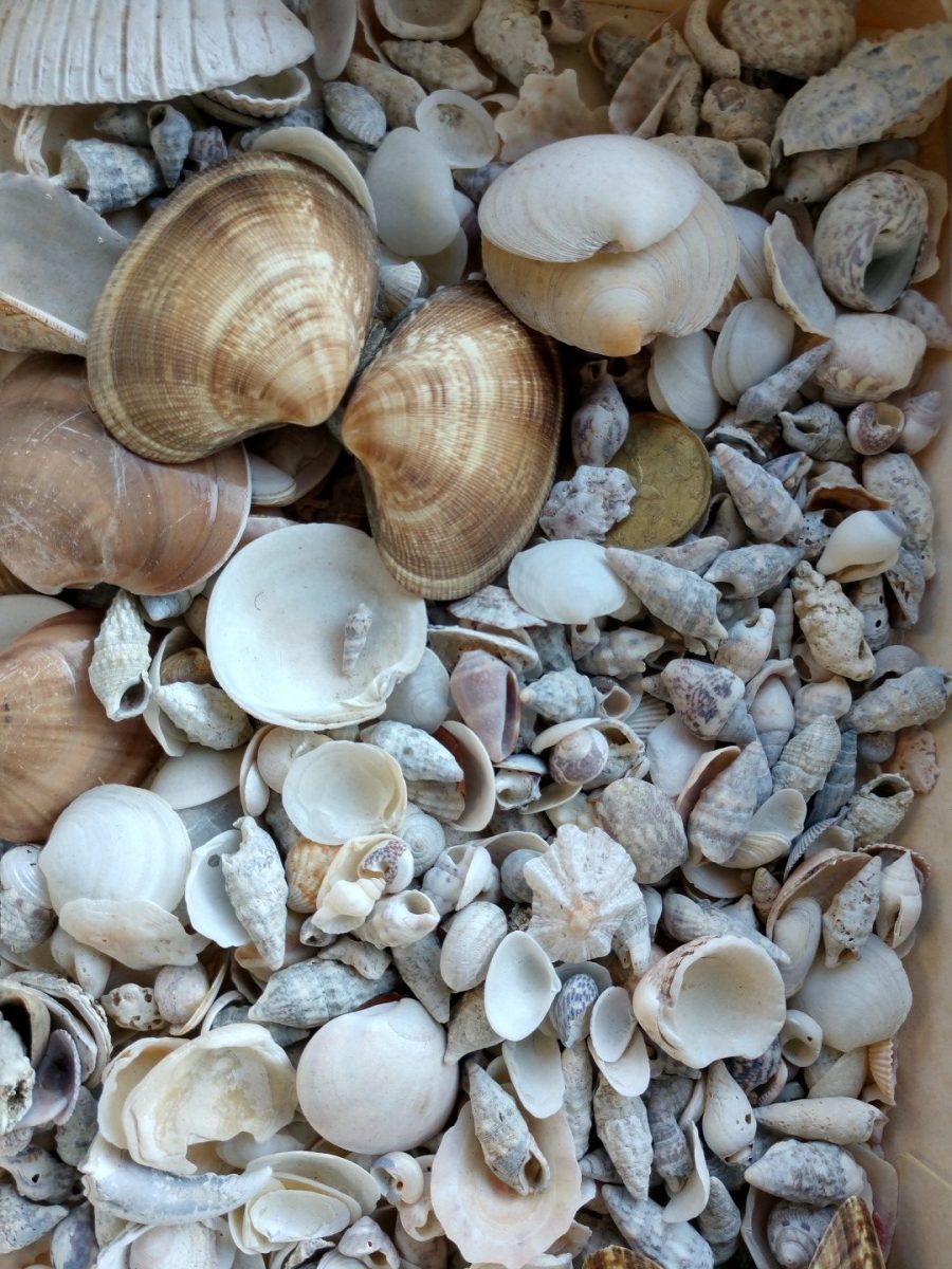 Galleria foto 'Motorola Moto Z2 Force, la recensione' - foto 4