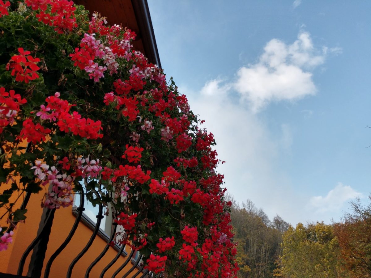 Galleria foto 'Motorola Moto Z2 Force, la recensione' - foto 5