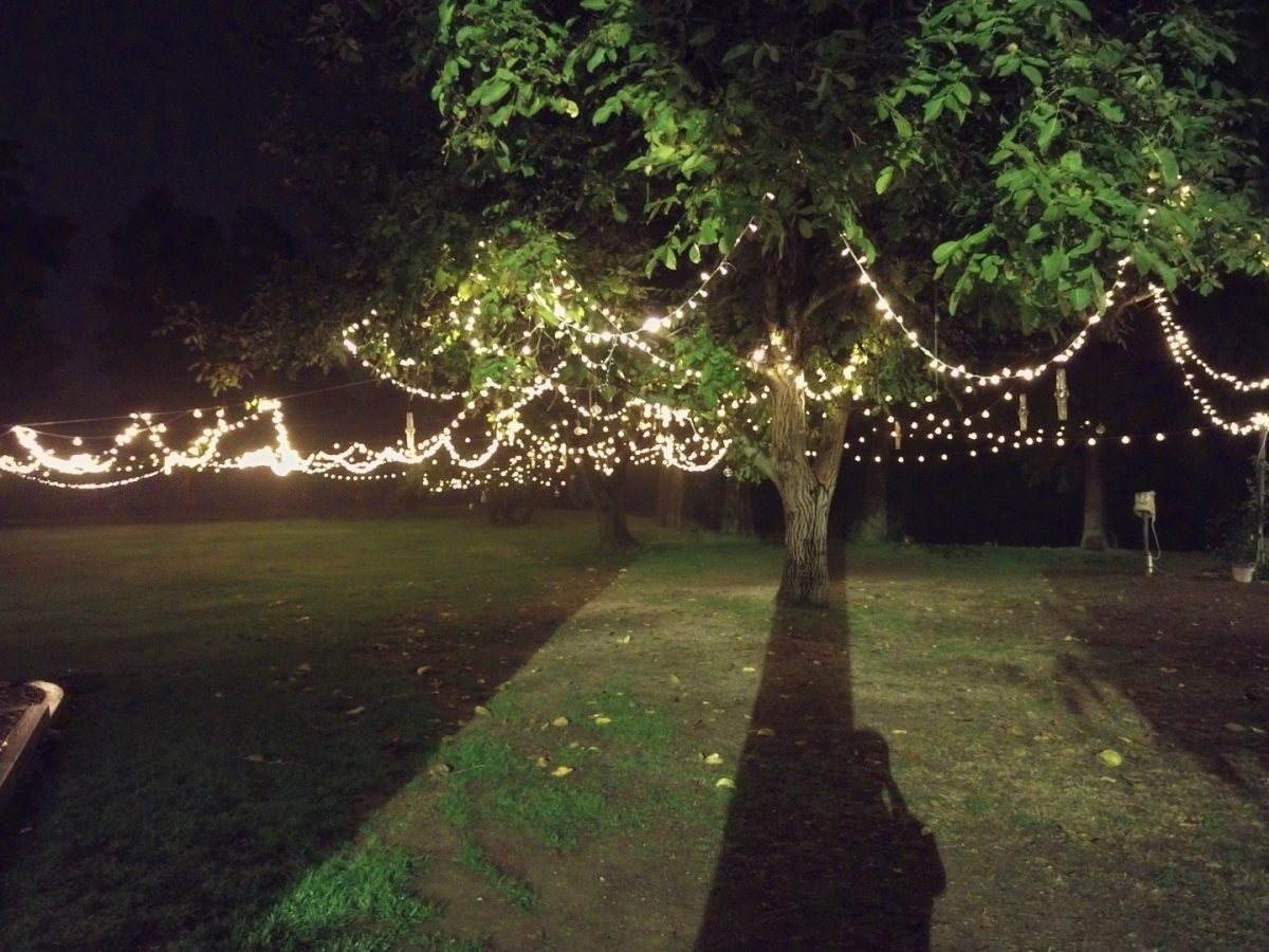 Galleria foto 'Motorola Moto Z2 Force, la recensione' - foto 13