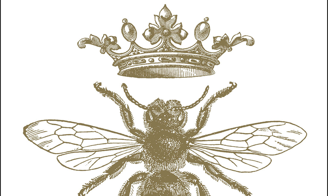 ‘Chi ha bisogno’ di te di Elisabetta Bucciarelli. La recensione