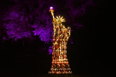 Le foto più belle della settimana: dal 14 al 20 ottobre