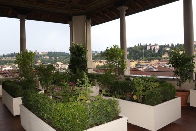 Bonus verde, ecco come funzionerà