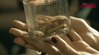 Focus presenta: i taralli pugliesi con gli insetti | videoricetta