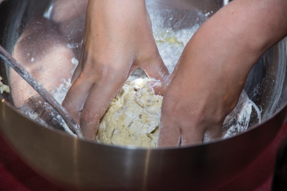 Insetti nel piatto: la cucina del futuro – FOTO e VIDEO