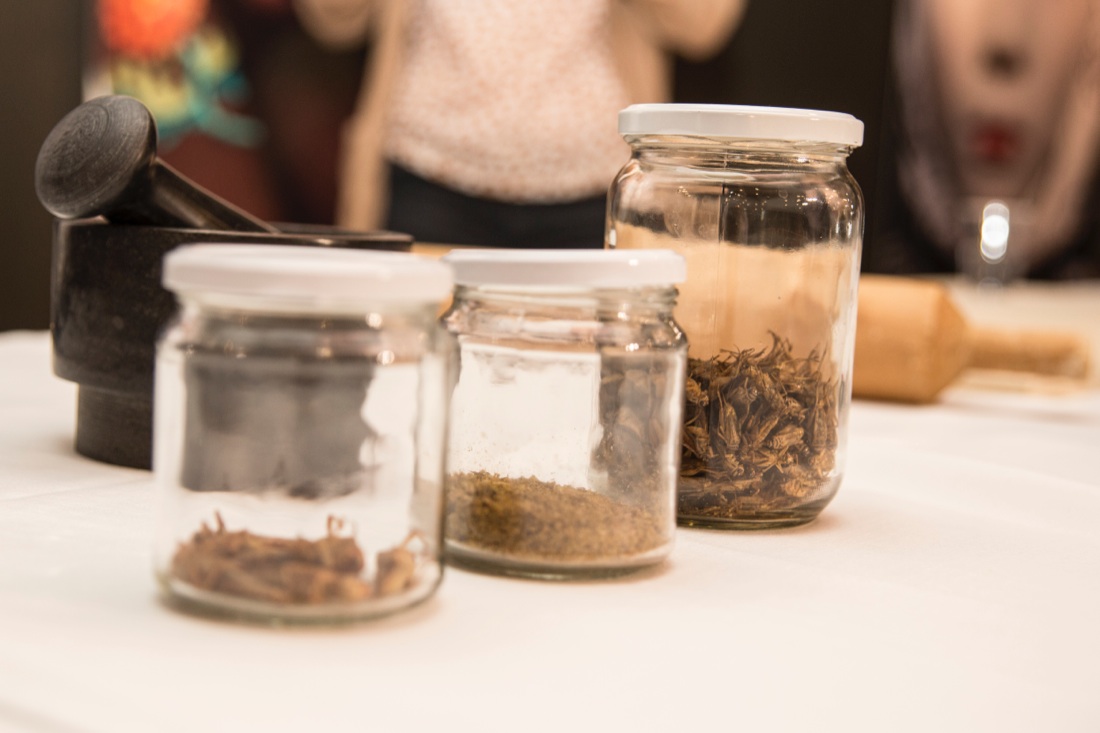 Insetti nel piatto: la cucina del futuro – FOTO e VIDEO