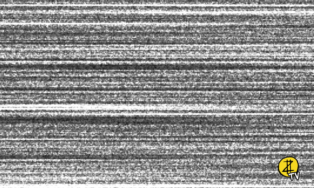 ‘Malloy’: la parola ai protagonisti del fumetto