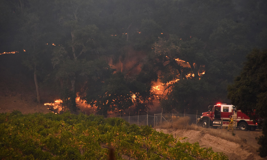 Incendi in California, fiamme e morte nella regione del vino – Foto e video Incendi in California, fiamme e morte nella regione del vino – Foto e video