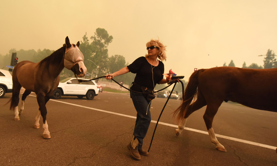 Incendi in California, fiamme e morte nella regione del vino – Foto e video Incendi in California, fiamme e morte nella regione del vino – Foto e video