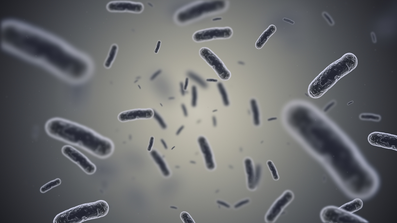 Allarme peste in Madagascar: cosa c’è da sapere Allarme peste in Madagascar: cosa c’è da sapere