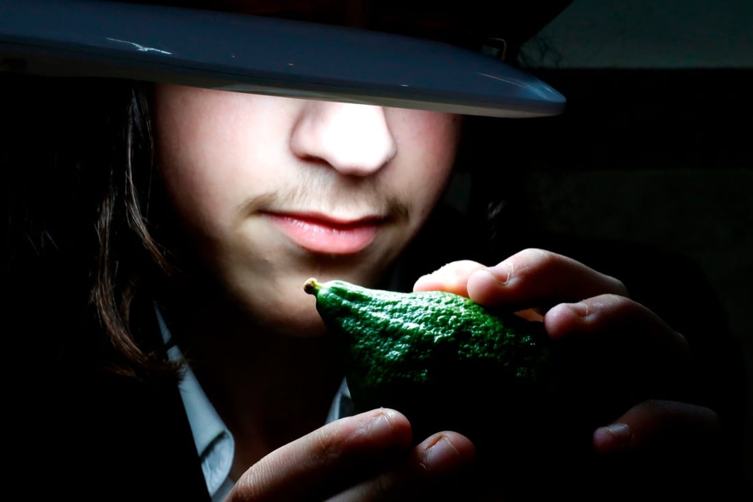 Le foto più belle della settimana: dal 30 settembre al 5 ottobre