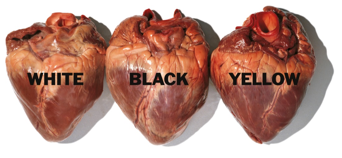 50 anni di Oliviero Toscani: la mostra