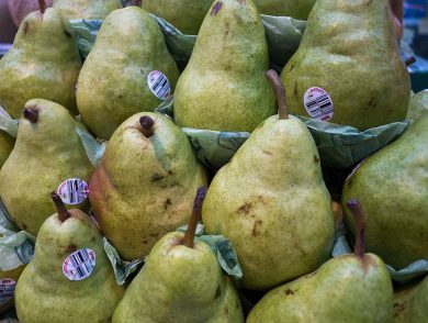 Italy’s role in the global pear business