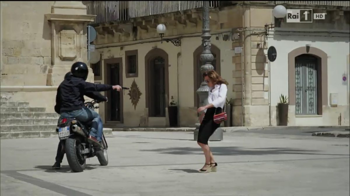 Il Commissario Montalbano e le indagini su “Gatto e cardellino” Il Commissario Montalbano e le indagini su “Gatto e cardellino”