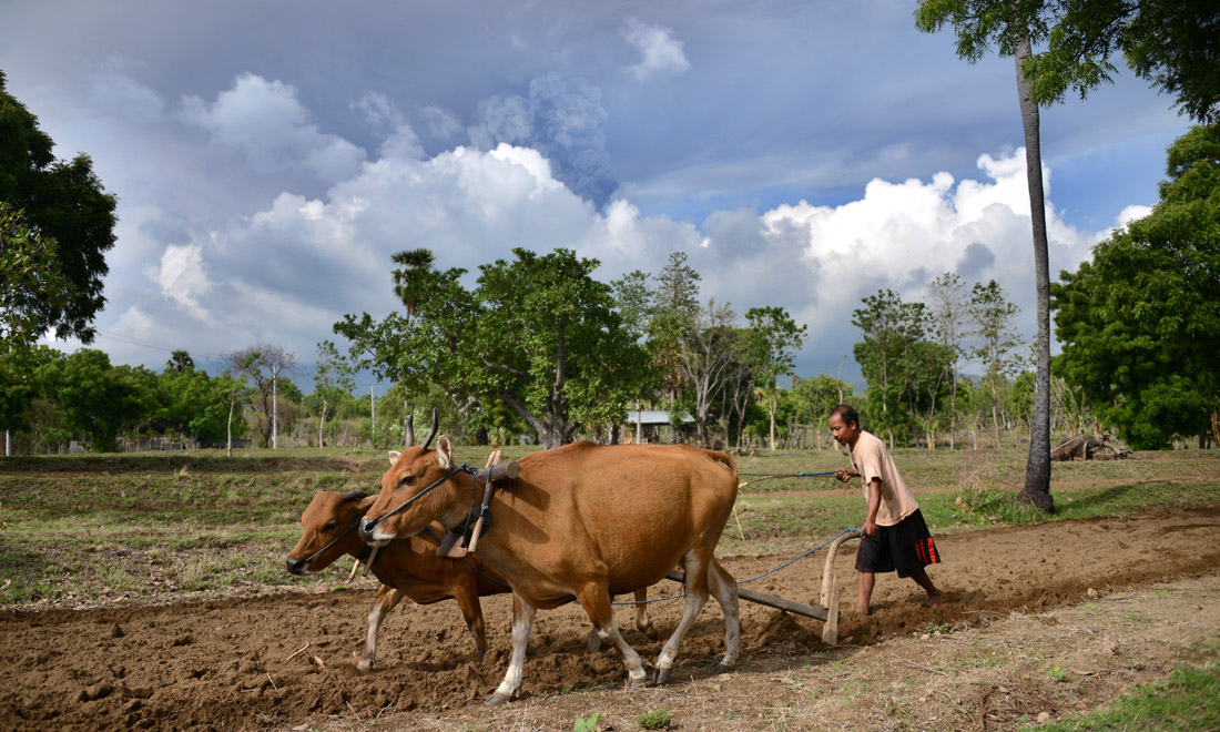 Bali, l’eruzione del vulcano Agung – Foto e video Bali, l’eruzione del vulcano Agung – Foto e video