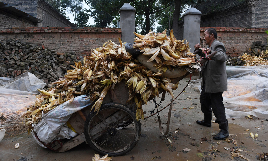 Cina, foto di vita quotidiana