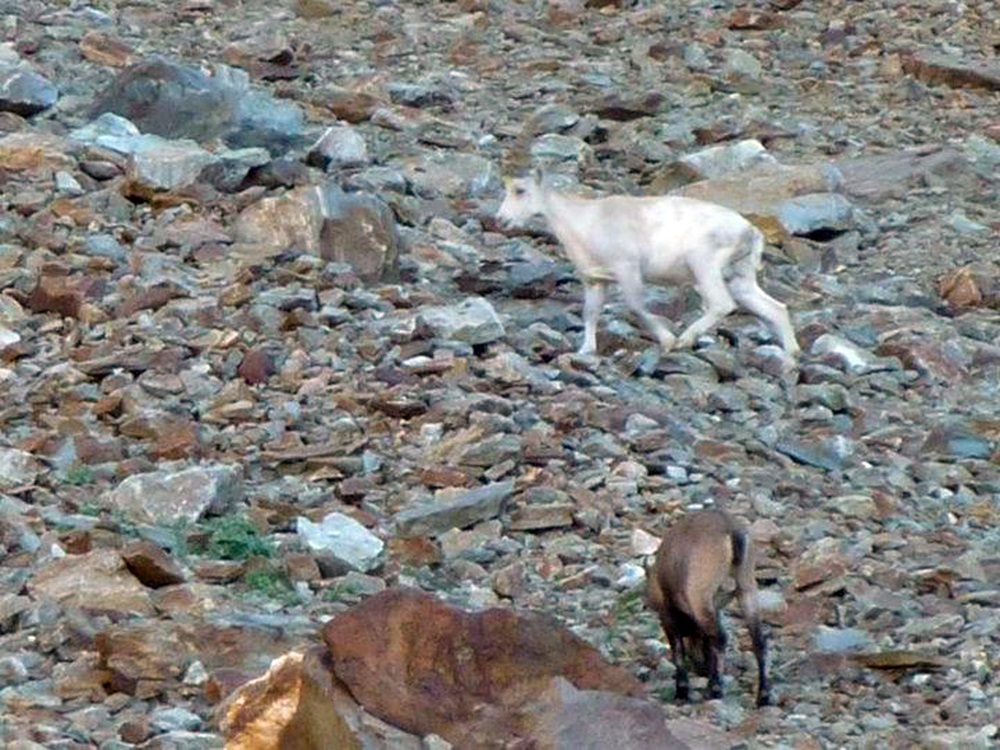 Discovering the Gran Paradiso National Park Discovering the Gran Paradiso National Park