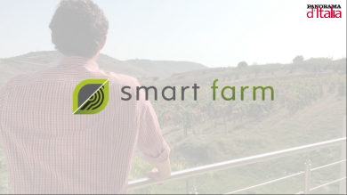 Smart Farm è sistema IoT di Intelligenza Artificiale per la Viticoltura