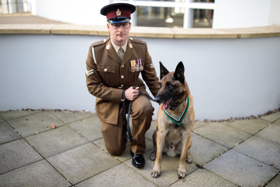 Le foto più belle della settimana: dall’11 al 17 novembre