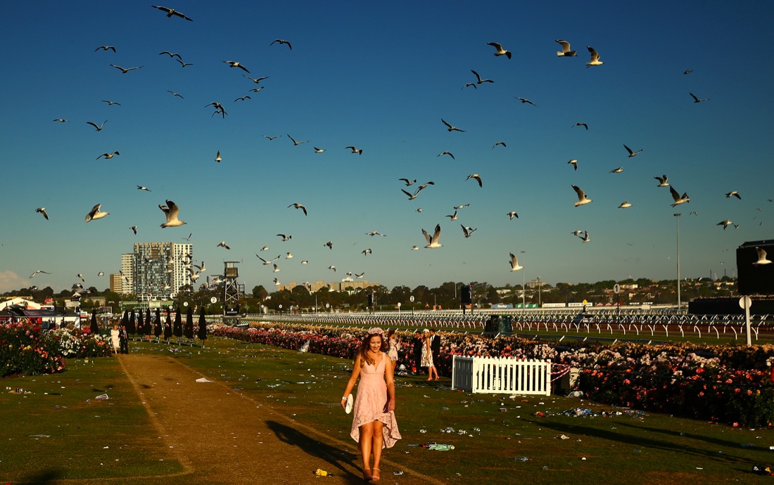 Le foto più belle della settimana: dall’11 al 17 novembre