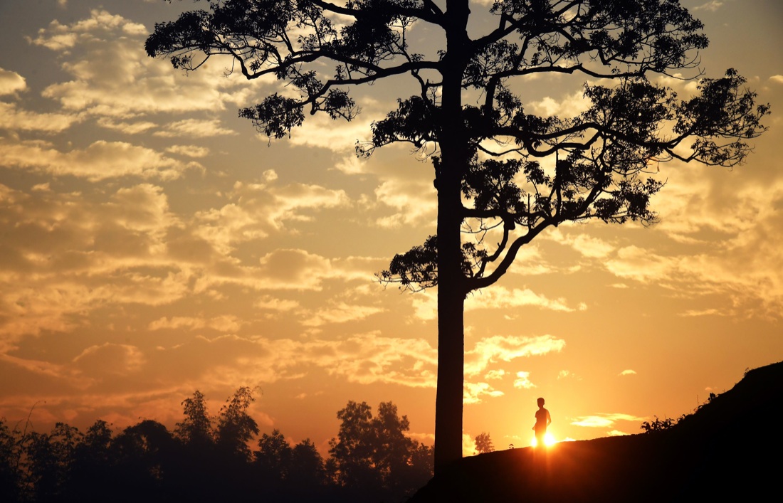 Le foto più belle della settimana: dal 4 al 10 novembre