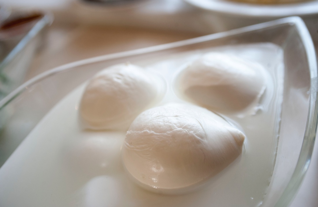 Mozzarella, le ricette della chef Rosanna Marziale – FOTO e VIDEO