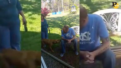 Cane annusa e riconosce il vecchio padrone. La reazione incredibile | video