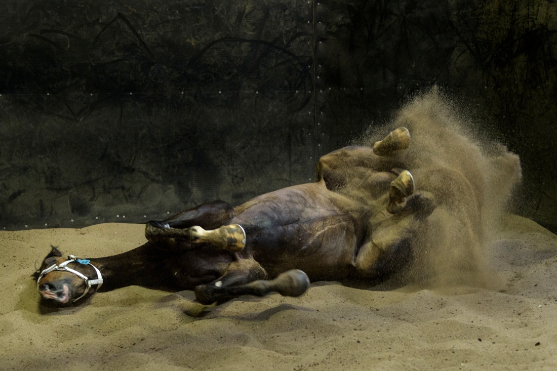 Le foto più belle della settimana: dal 28 ottobre al 3 novembre