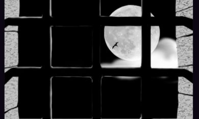 ‘Il segreto di Falkner’, l’inedito ultimo romanzo di Mary Shelley