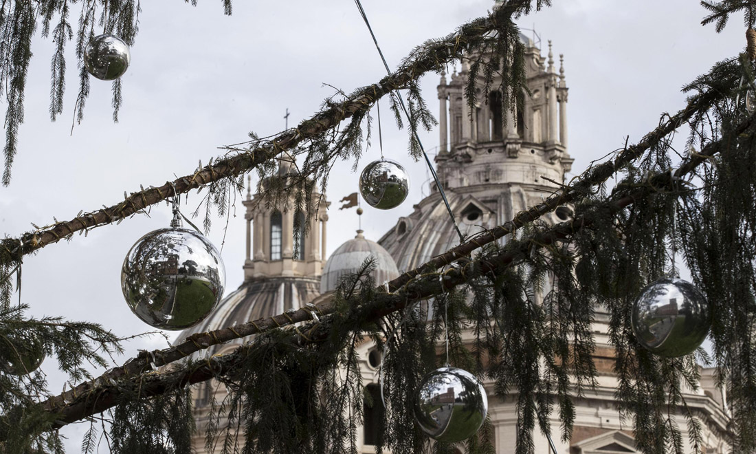 Roma, Spelacchio è morto: storia di un albero di Natale brutto e simpatico – Foto Roma, Spelacchio è morto: storia di un albero di Natale brutto e simpatico – Foto