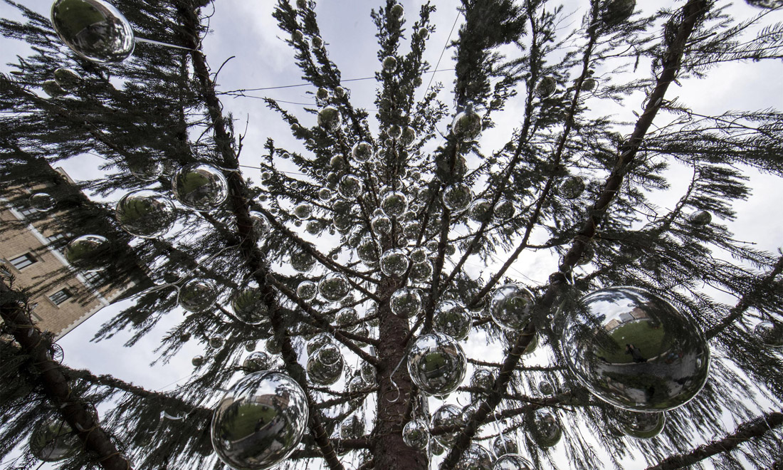 Roma, Spelacchio è morto: storia di un albero di Natale brutto e simpatico – Foto Roma, Spelacchio è morto: storia di un albero di Natale brutto e simpatico – Foto