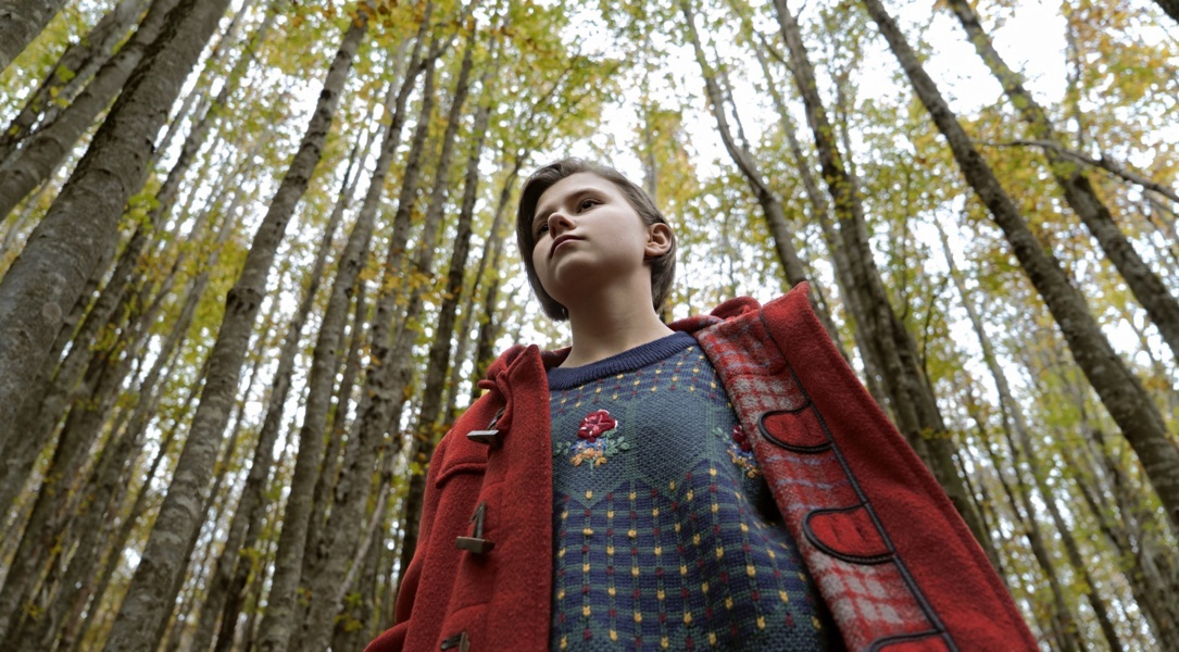 “A Ciambra” all’Oscar 2018: perché non ci ha convinto