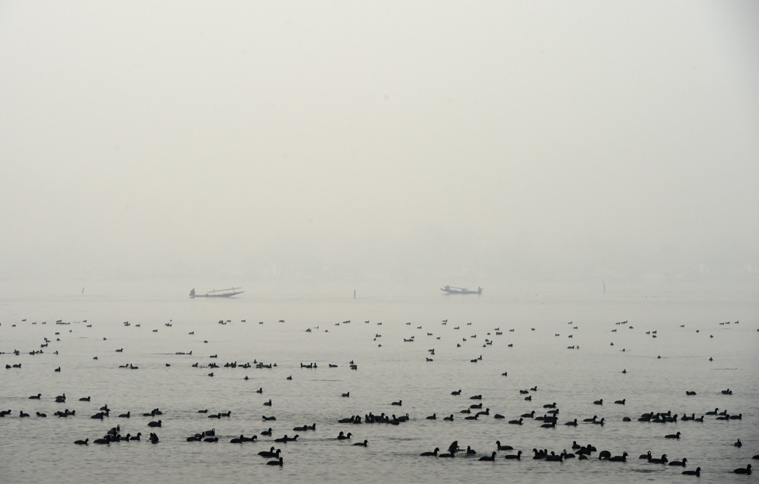 Le foto più belle della settimana: dal 26 novembre al 1 dicembre