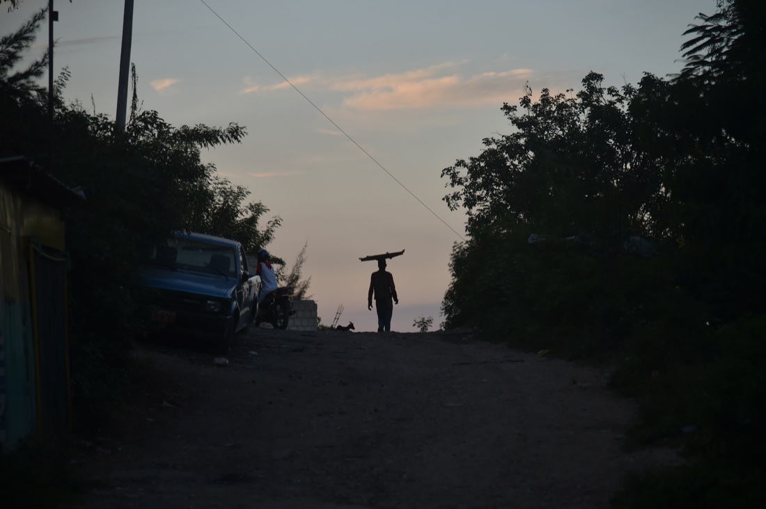 Le foto più belle della settimana: dal 26 novembre al 1 dicembre