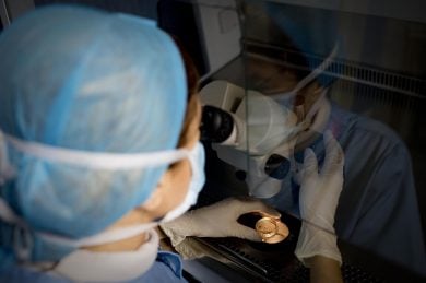 A new step forward in the fight against cancer