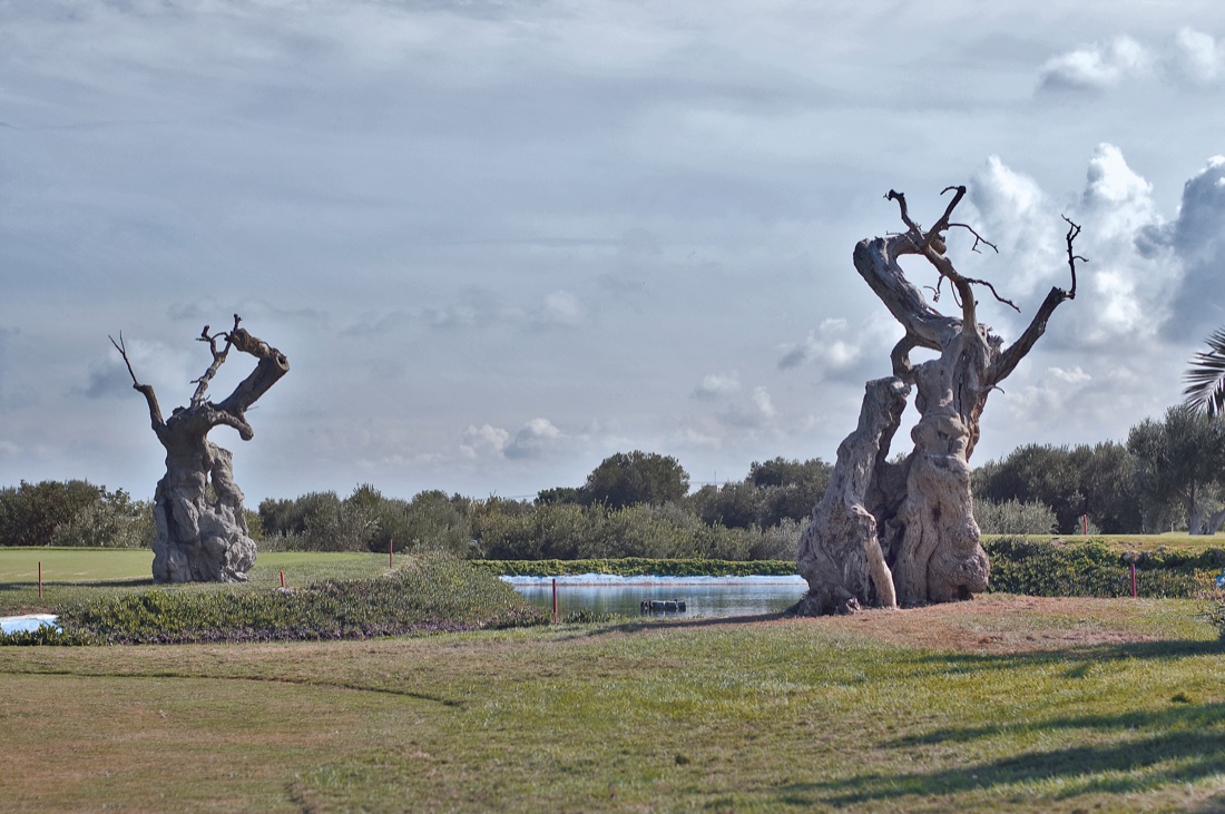 New Perspective: alla Triennale di Milano per finanziare la lotta al mieloma New Perspective: alla Triennale di Milano per finanziare la lotta al mieloma