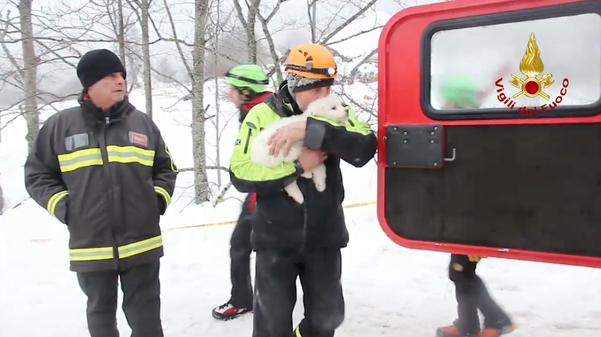 Galleria foto 'Hotel di Rigopiano: cosa è successo secondo le indagini' - foto 33