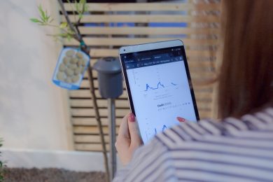 SmartIsland: when innovation involves agriculture