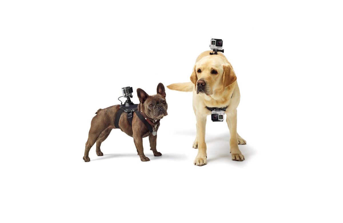 Galleria foto 'L’ascesa e il declino di GoPro' - foto 7