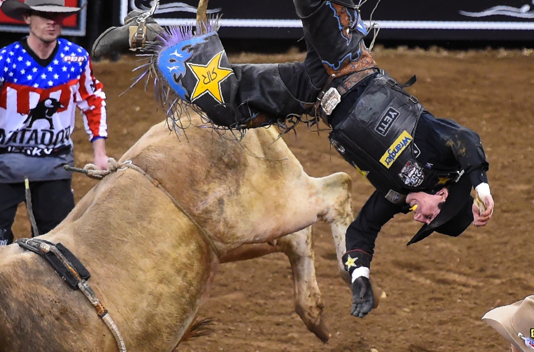 Le foto più belle della settimana: dal 6 al 12 gennaio Le foto più belle della settimana: dal 6 al 12 gennaio