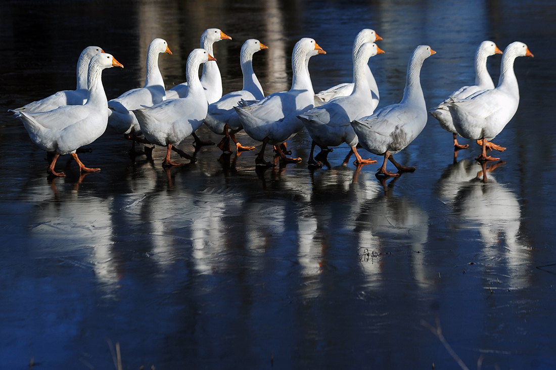 Clima pazzo: allarme in tutto il mondo