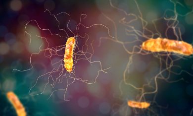 Superbatteri: se uno zucchero li rende più aggressivi