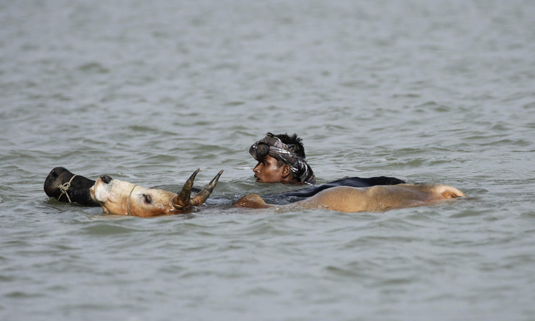 Quando le maggioranze uccidono